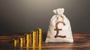 Read more about the article Have you ever been paid silly money?